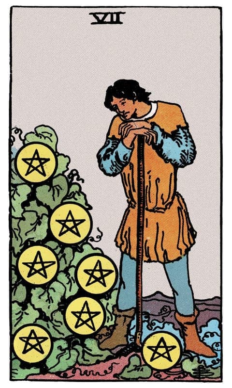 Seven of Pentacles, Rider–Waite–Smith deck