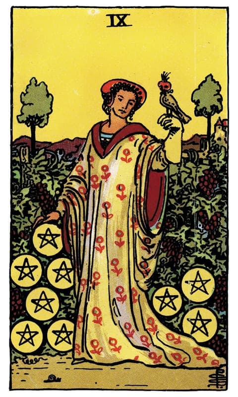 Nine of Pentacles, Rider–Waite–Smith deck